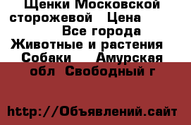 Щенки Московской сторожевой › Цена ­ 35 000 - Все города Животные и растения » Собаки   . Амурская обл.,Свободный г.